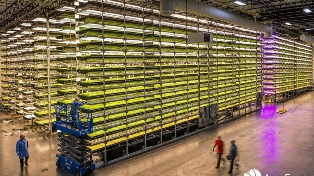 AeroFarms-1-1024x641 (2)